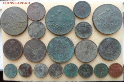 Остатки Клада Медь 68 монет  до 30.04.16 года в 22:00 мск - SAM_4171.JPG