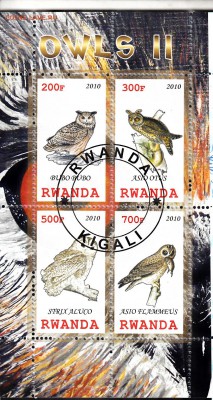Руанда 2010 совы - 70