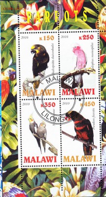 Малави 2010 попугаи - 72