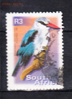 ЮАР птицы - 85