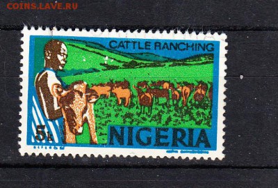 Нигерия кони - 88