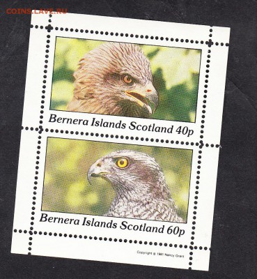 Шотландия 1981 орлы - 100
