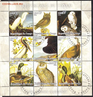 Конго 2004 птицы - 110