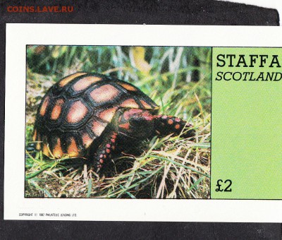 Шотландия 1982 черепаха блок - 122