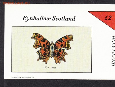 Шотландия 1982 бабочки блок(3) - 131