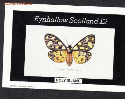 Шотландия 1982 бабочки блок(4) - 132