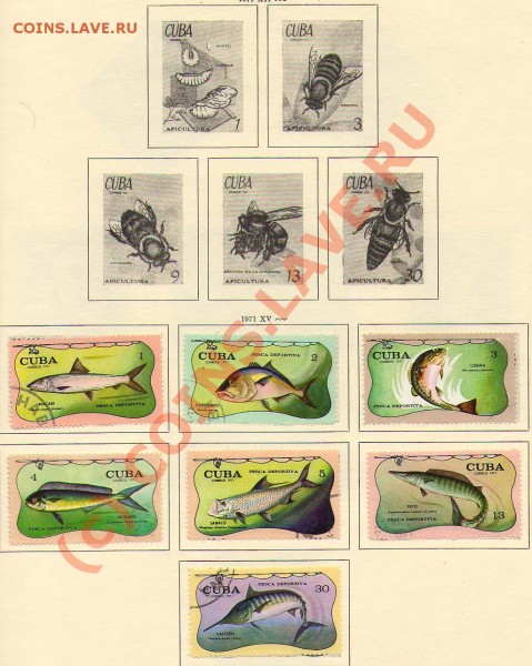 Альбомные листы марок. Куба 1969-1976гг. - Рыбы1