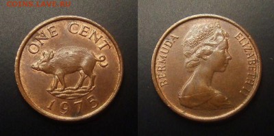 3 - Бермуды – 1 цент (1975) «Кабан; Елизавета тип №1» (XF+)