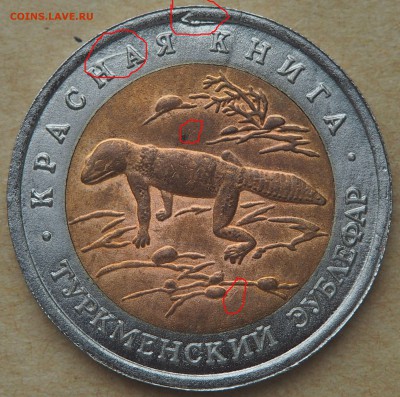 50 рублей 1993. Туркменский зублефар. до 05.06.2016 в 22.00 - зублефар1