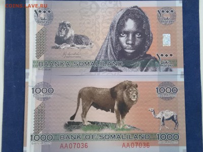 Сомалиленд 1000 шиллингов 2006 г. до 16.06.2016 - IMG_20160613_134418