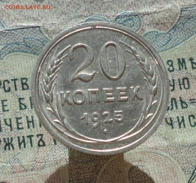 20 копеек 1925 года Кладовая красавица. До 27.06.16. - DSC06224.JPG