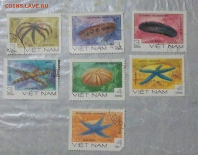 маки вьетнам - морские животные  - до 26.06.2016 - вьетнам моржив