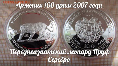 Армения 100 драм 2007 Переднеазиатский леопард Пруф Серебро - f7uQqyHlHlo