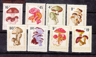 Болгария 1961 грибы - 48