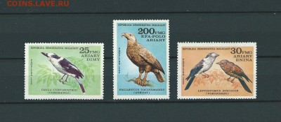 Малагасийская Республика. Птицы. до 24.07.2016 - 90