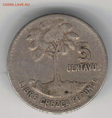 Ag Гватемала 5 сентаво 1960 до 01.08 в 22.00мск (Г108) - 5-гв5а