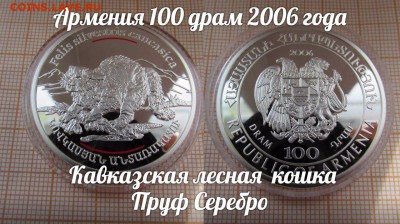 Армения 100 драм 2006 Кавказская лесная кошка Пруф Серебро - 36tLmj6Nieo