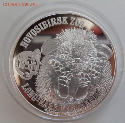 Монеты с изображением ёжиков - 0_12ef04_72c795bd_L