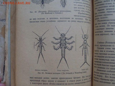 книга зоологические экскурсии 1925г. до 08.09. - SDC17484.JPG