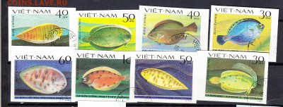Вьетнам 1982 рыбы без зубцов - 2в