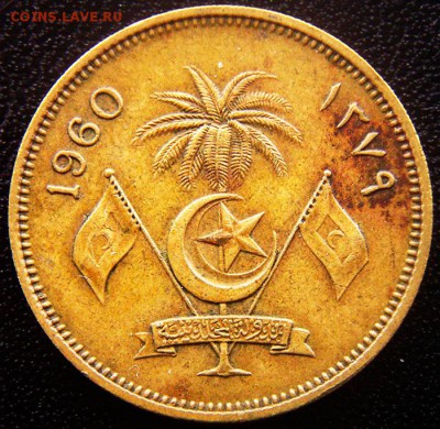 Мальдивские Острова_50 лари 1960; до 16.09_22.41мск - 12587