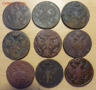 9 монет денга 1735-1751 до 22:00 25.09.2016 - набор денга-1