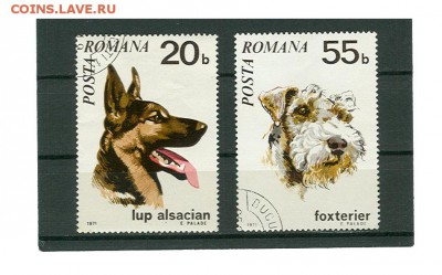 Марки Румынии собаки до 22.00 мск 23.09.2016 г. - собаки