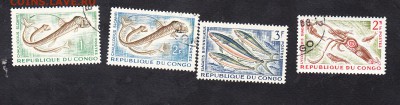 Конго рыбы - 162