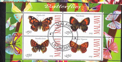 Малави 2009 бабочки - 46