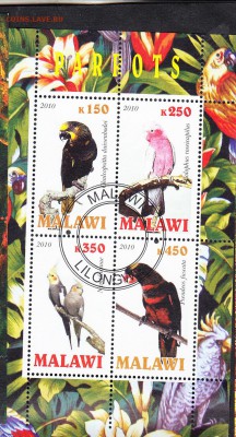 Малави 2010 попугаи - 59