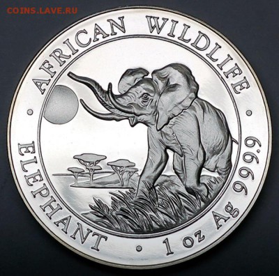 Сомали_100 шиллингов 2016 "Африканский слон"; 05.10_22.15мс - 12603