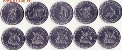 5 монет Уганды (обезьяны) 2004 г. до 12.10.16 - Рисунок (92)