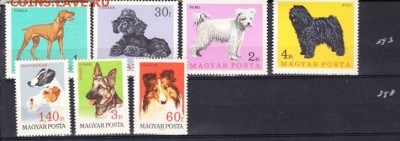 Венгрия 1967 собаки - Копия 29