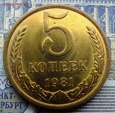 5 копеек 1981 года до 2 декабря 2016г. - DSCF5602.JPG