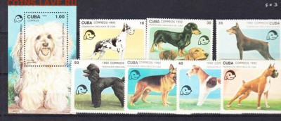 Куба 1992 собаки - Копия 20
