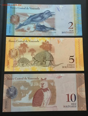 Набор банкнот Венесуэлы в прессе до 13.11.16 22:00 - image-10-10-16-04-47-6