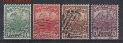 Ньюфаундленд 1919г до 13.11 22.00мск - Ньюфаундленд 1919г