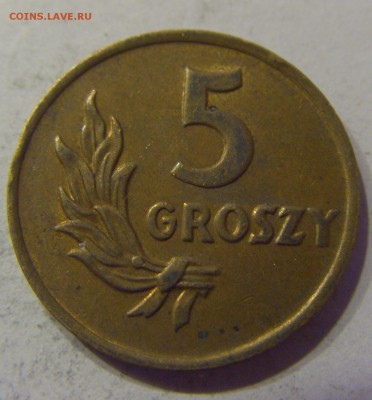 5 грош 1949 бронза Польша 18.11.2016 22:00 МСК - CIMG1767.JPG