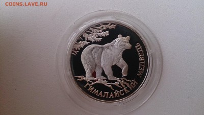 Красная книга 1994 Медведь(Ag 900) до 21.11. 22.00 МСК - DSC_3807.JPG