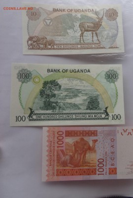 Западная  Сенегал 1000 фр 2003  UNC до 24.11 в 21-15 мск - DSC04740.JPG