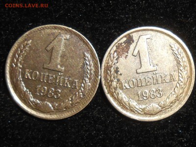 1 копейка 1983 короткие ости (2шт) до02.12.16г. - RSCN5141.JPG