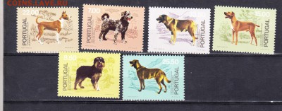 Португалия 1981 собаки - 112