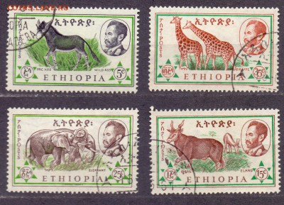 Эфиопия, дикие животные до 16.12.16 22:00 МСК - эфиопия дикие