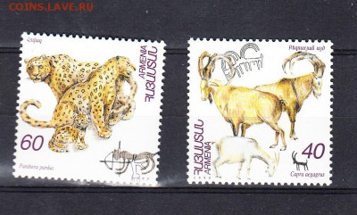 Армения 1996 фауна - 293