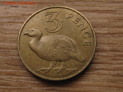 Гамбия Брит. 3 пенса 1966 птица до 28.12.16 в 22.00 М - IMG_0917.JPG