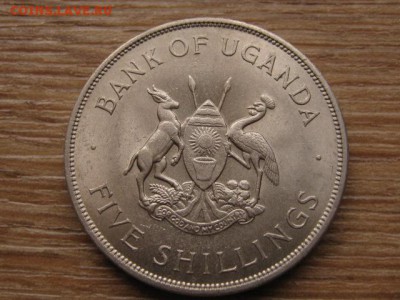 Уганда 5 шиллингов 1968 фао до 12.01.17 в 22.00 М - IMG_2236.JPG