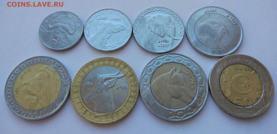 Алжир - набор монет 8 штук до 16.01.2017 в 22.00 Мск - Алжир - набор монет 8 штук (1)