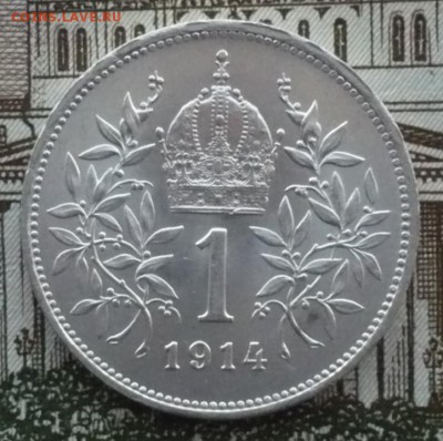 1 крона  1914 год. Император Франц Иосиф I.19.02.22:10 - P1600687.JPG