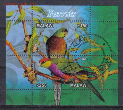 Малави 2011г мл Попугаи до 27.02 22.00мск - Малави 2011г мл Попугаи