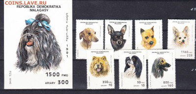 Мадагаскар 1991 собаки - 296